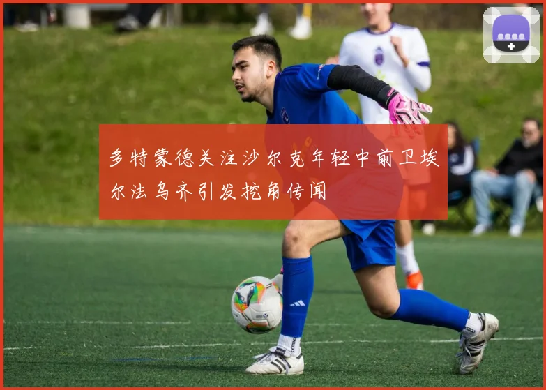 多特蒙德关注沙尔克年轻中前卫埃尔法乌齐引发挖角传闻