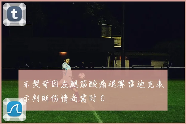 东契奇因左腿筋酸痛退赛雷迪克表示判断伤情尚需时日